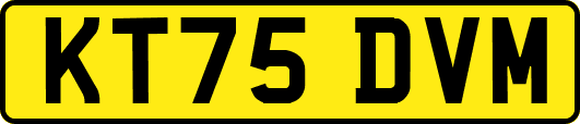 KT75DVM