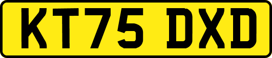 KT75DXD