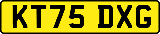 KT75DXG