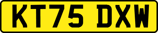 KT75DXW
