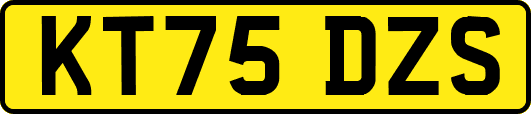 KT75DZS