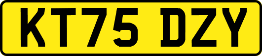 KT75DZY