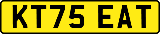 KT75EAT