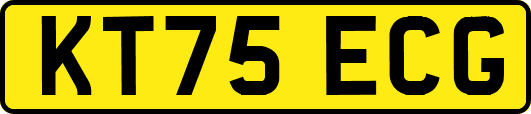 KT75ECG