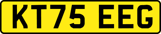 KT75EEG