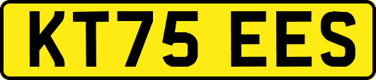 KT75EES