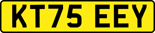 KT75EEY