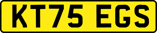 KT75EGS