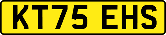 KT75EHS