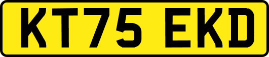 KT75EKD