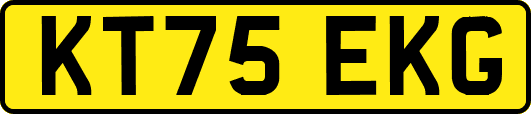 KT75EKG