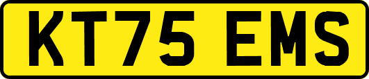 KT75EMS