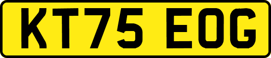 KT75EOG