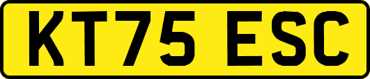 KT75ESC