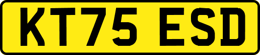 KT75ESD