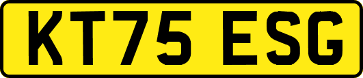KT75ESG