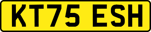 KT75ESH