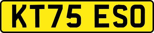 KT75ESO
