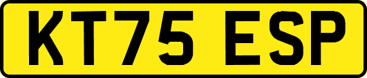 KT75ESP