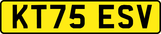 KT75ESV