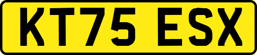 KT75ESX