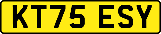 KT75ESY