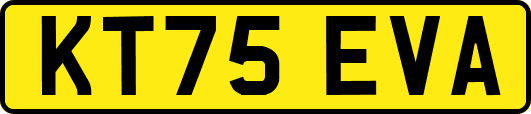 KT75EVA
