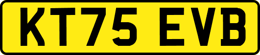 KT75EVB