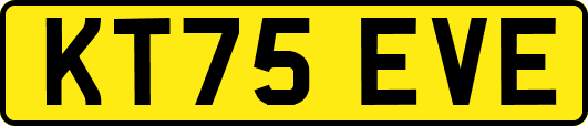 KT75EVE
