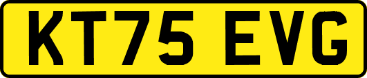 KT75EVG