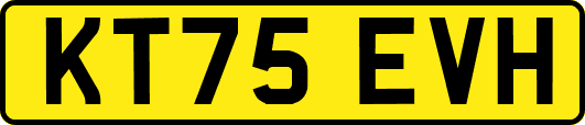 KT75EVH