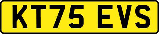 KT75EVS