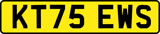 KT75EWS
