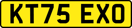 KT75EXO