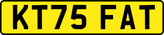 KT75FAT