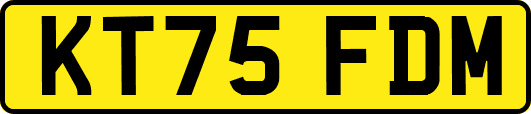 KT75FDM