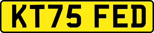 KT75FED