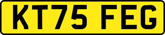 KT75FEG