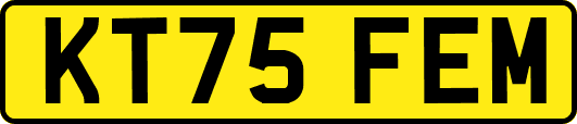 KT75FEM