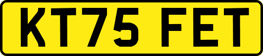 KT75FET