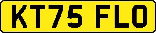 KT75FLO