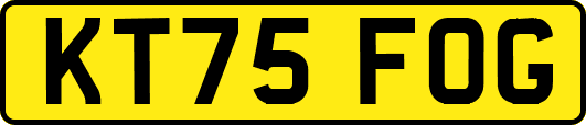KT75FOG