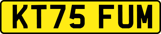 KT75FUM