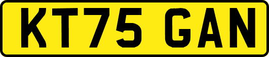 KT75GAN