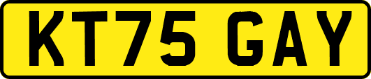 KT75GAY