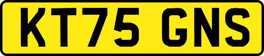 KT75GNS