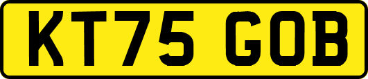 KT75GOB