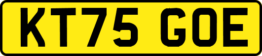 KT75GOE