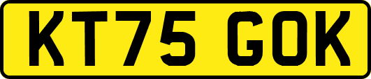 KT75GOK
