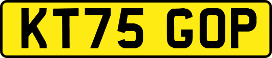 KT75GOP